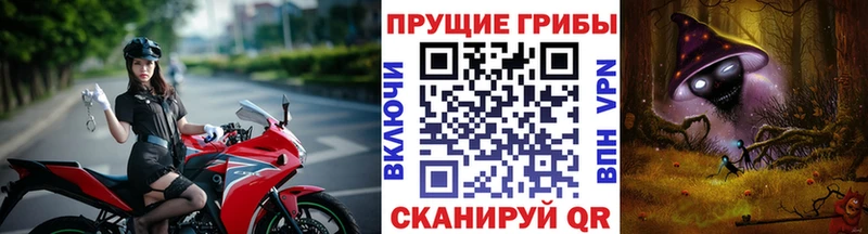 Галлюциногенные грибы ЛСД Талица
